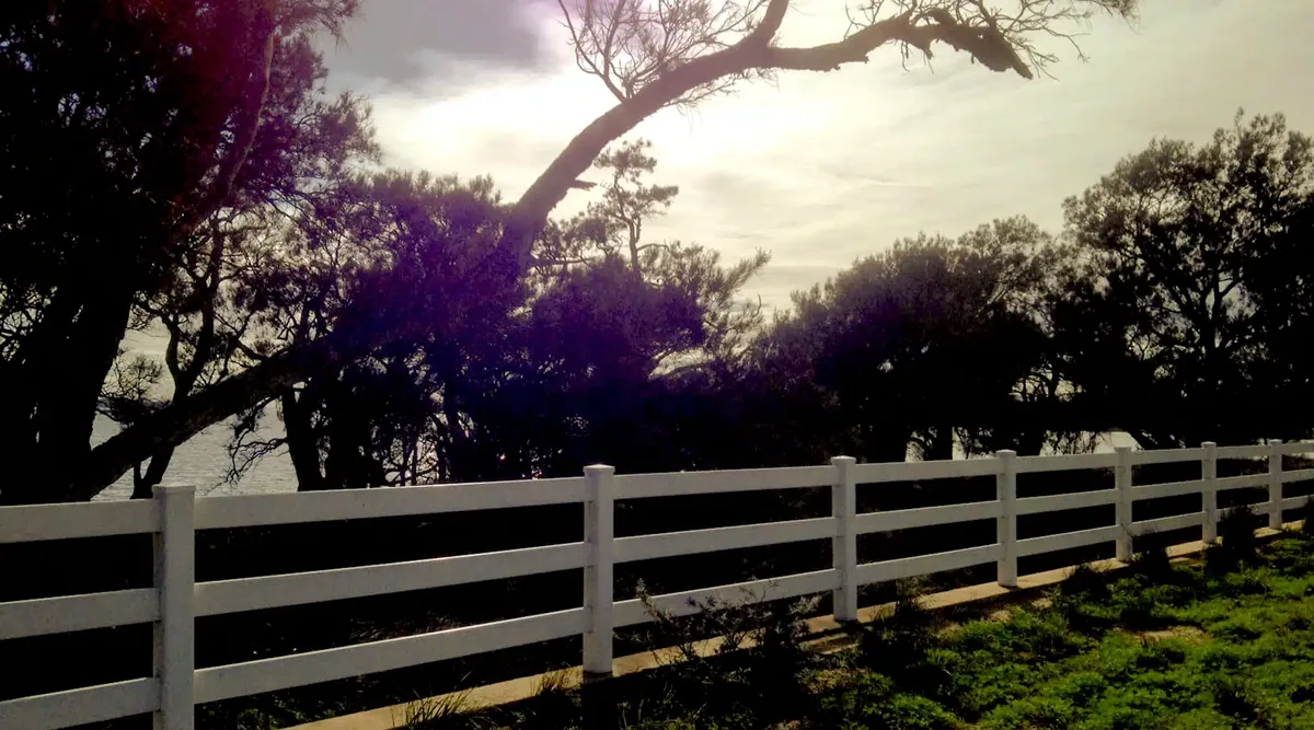White PVC post and rail fence beside a paddock in Bunbury